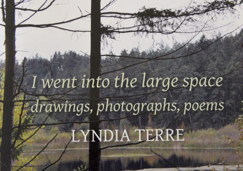 Lyndia Terre Exhibit at Gage Gallery